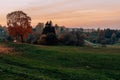 Autumn orange forest trees in a park with green grass and yellow leaves, evening. Beautiful foliage with mist, with grain Royalty Free Stock Photo