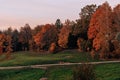 Autumn orange forest trees in a park with green grass and yellow leaves, evening. Beautiful foliage with mist, with grain Royalty Free Stock Photo