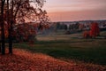 Autumn orange forest trees in a park with green grass and yellow leaves, evening. Beautiful foliage with mist, with grain Royalty Free Stock Photo