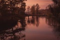 Autumn orange forest trees in a park reflecting in a pond, evening. Beautiful foliage colors, with grain