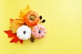 Autumn orange leaves, fall abstract frame with colorful leaves, pine cones and pumpkins on bright background, copy space Royalty Free Stock Photo