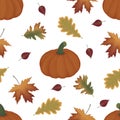 Autumn orange pumpkins, leaves, white background. Vector seamless pattern. Fall season illustration. October harvest. Organic vege Royalty Free Stock Photo