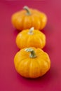 Autumn orange pumpkins onred board. Halloween, Thanksgiving orange little pumpkins isolated Royalty Free Stock Photo