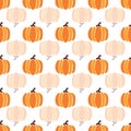 Autumn orange pumpkins reflected on white background. Vector seamless pattern. Halloween illustration. October harvest