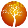 Autumn orange round tree icon