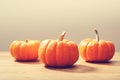 Autumn orange small pumpkins