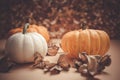 Autumn orange and white pumpkins