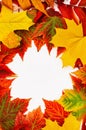 Autumn orange, yellow, red color maple leaf with funny googly eyes and lips isolated on white background Nature, hello autumn, Royalty Free Stock Photo