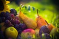 Autumn orchard fruit crops grass sunset Royalty Free Stock Photo
