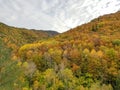 Autumn in Ordesa National Park, Pyrenees, Huesca, Aragon, Spain. With the magnificent coloring formed by the leaves of pines, firs