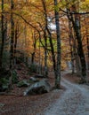 The Autumn in the Ordesa Valley Ordesa National Park - Monte Perdido