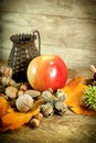 Autumn organic fruits - seasonal fruits Royalty Free Stock Photo