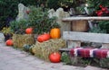 Autumn on the ornamental garden terrace