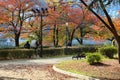 Autumn in Osaka, Japan