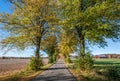 Autumn in Ostergotland, Sweden