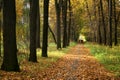 Autumn in our park.