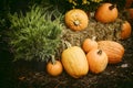 Autumn Outdoor Decor - Nostalgic 1