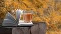 Autumn outdoor leisure. Open book and herbal tea in glass cup on wooden bench in autumn forest or park autumnal colours Royalty Free Stock Photo