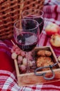 Autumn outdoor picnic set. A bottle of red wine, two wine glasses, checked plaid, grape, apple and cookies. Royalty Free Stock Photo