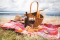 Autumn outdoor picnic set. A bottle of red wine, two wine glasses, checked plaid, grape, apple and cookies. Royalty Free Stock Photo