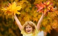 Autumn outdoor portrait of beautiful happy child. Kids play in autumn park. Children throwing yellow leaves. Child boy Royalty Free Stock Photo