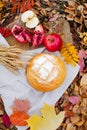 Autumn outdoors stilllife with wholegrain round bread, apples and pomegrante on background of falling leaves.