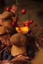 autumn painting, group of boletus mushrooms, aesthetically pleasing