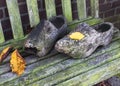 Autumn. A pair of old used wooden shoes-clogs on an old bench with covered moss and yellow leaves Royalty Free Stock Photo