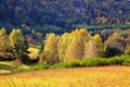 Autumn in the Palatinate Forest Royalty Free Stock Photo