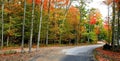 Autumn Panorama Royalty Free Stock Photo