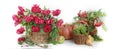 Thanksgiving day backgrounAutumn panorama from fruits ,vegetables and berries.Still life with flowers ,cucurbits , grapes , apples Royalty Free Stock Photo