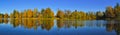 Autumn panorama in the Gatchina park