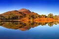 Autumn panorama of Loch Claire with the views of Beinn Eighe and Liathach from across the water. Glen Torridon, Highlands Scotland