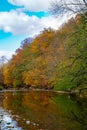 Autumn panorama, autumn over the river, golden autumn in the forest Royalty Free Stock Photo