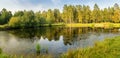 Autumn panorama with a pond and pines on the shore, Russia Ural Royalty Free Stock Photo