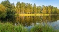 Autumn panorama with a pond and pines on the shore, Russia Ural Royalty Free Stock Photo