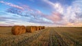 Autumn panorama rural field with cut grass at sunset