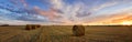 Autumn panorama rural field with cut grass at sunset