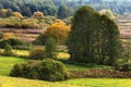 Autumn panoramic landscape of colorful woods and meadows in Liwiec river vally in Poland