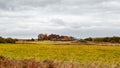 Autumn panoramic landscape with wooden houses, field and dramatic clouds.