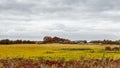 Autumn panoramic landscape with wooden houses, field and dramatic clouds.