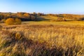 Autumn panoramic view of hill fields and meadows with forest surrounding Zagorzyce village in Podkarpacie region of Poland