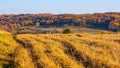 Autumn panoramic view of hill fields and meadows with forest surrounding Zagorzyce village in Podkarpacie region of Poland