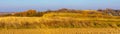 Autumn panoramic view of hill fields and meadows with forest surrounding Zagorzyce village in Podkarpacie region of Poland