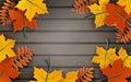 Autumn paper background, colorful tree leaves on wooden backdrop, design for fall season banner, poster or thanksgiving day card