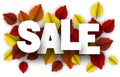 Autumn sale sign with color birch leaves