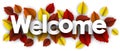 Autumn welcome sign with color birch leaves