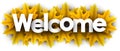 Autumn welcome sign with yellow maple leaves Royalty Free Stock Photo