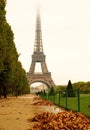 Autumn in Paris