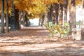 Autumn in Paris. Garden Tuileries